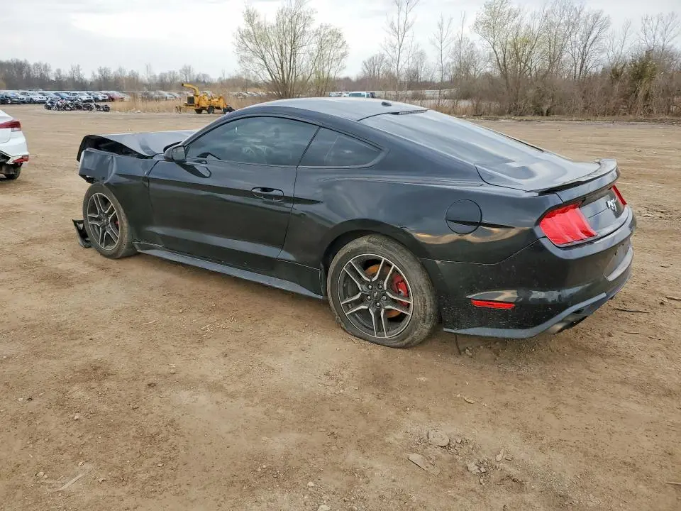 2019 FORD MUSTANG   