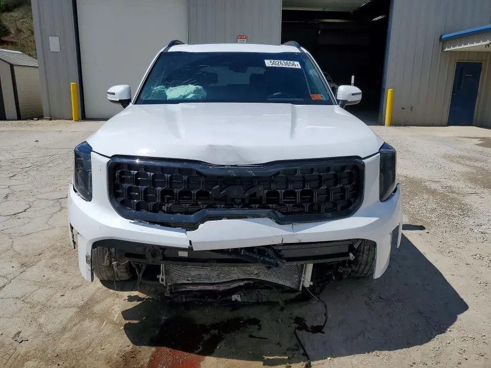 2025 KIA TELLURIDE EX X-LINE  
