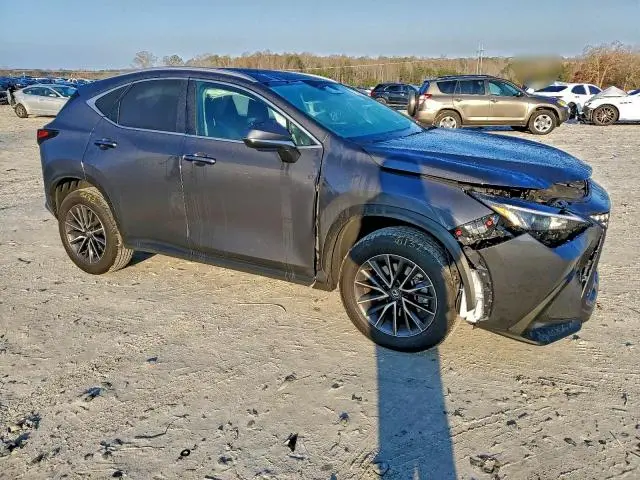 2025 LEXUS NX 250 BASE  