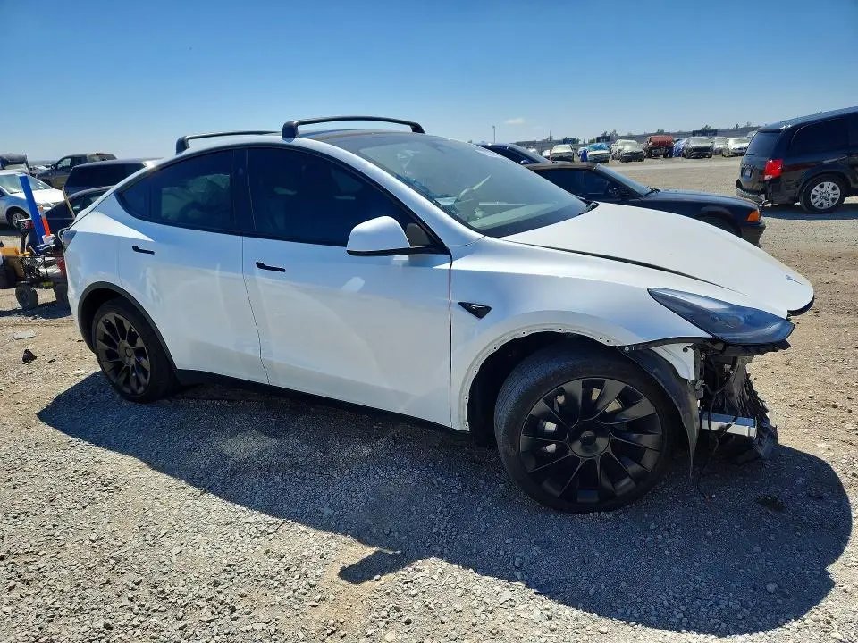 2024 TESLA MODEL Y   