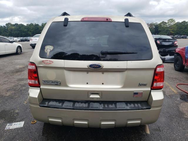 2010 FORD ESCAPE XLT