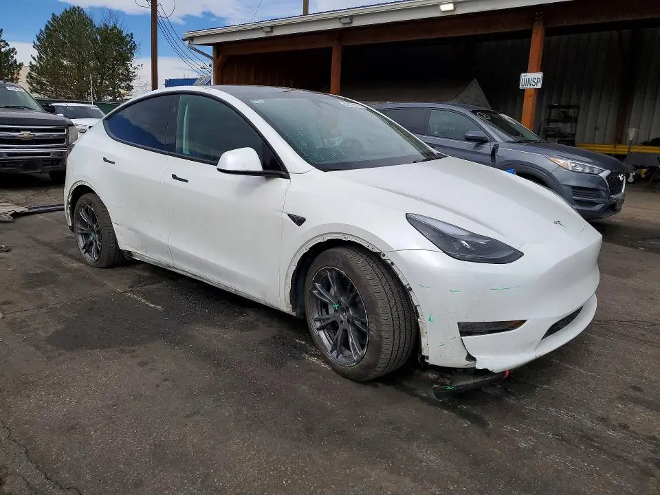 2024 TESLA MODEL Y   
