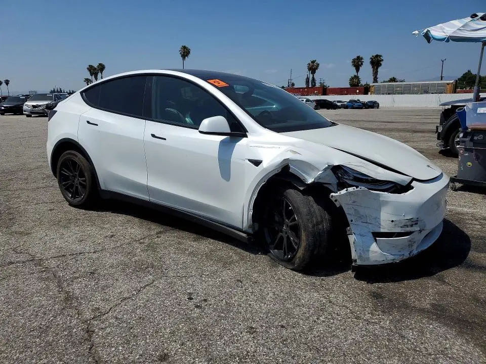 2020 TESLA MODEL Y   