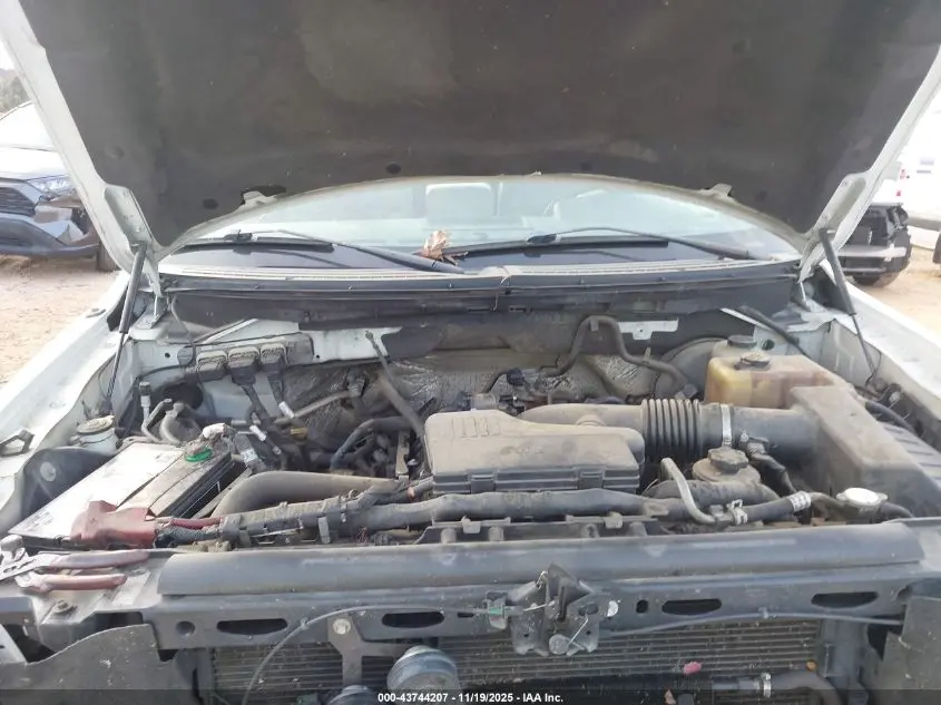 2010 FORD F-150 STX/XL/XLT