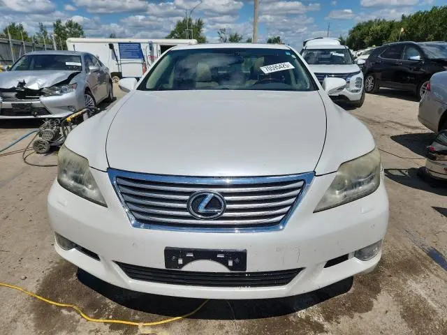 2010 LEXUS LS 460  