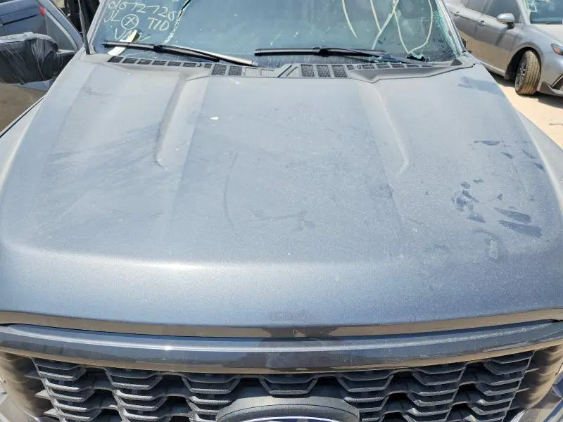 2024 FORD F150 STX  