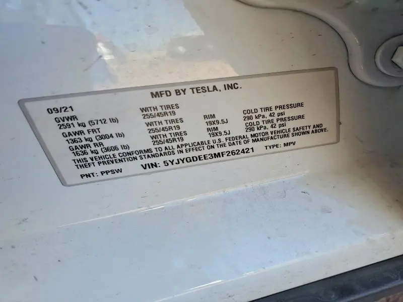 2021 TESLA MODEL Y   