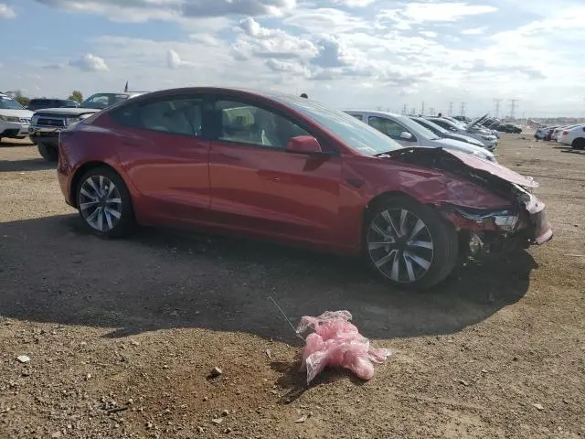 2025 TESLA MODEL 3   