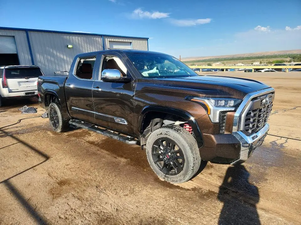 2025 TOYOTA TUNDRA 1794 EDITION  