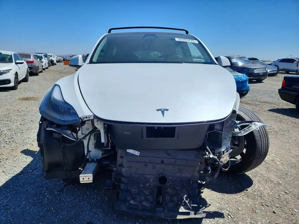 2024 TESLA MODEL Y   