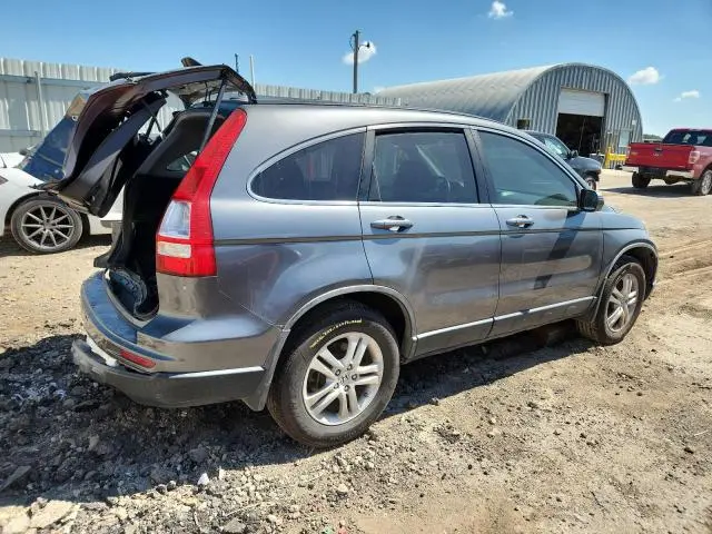 2010 HONDA CR-V EXL  