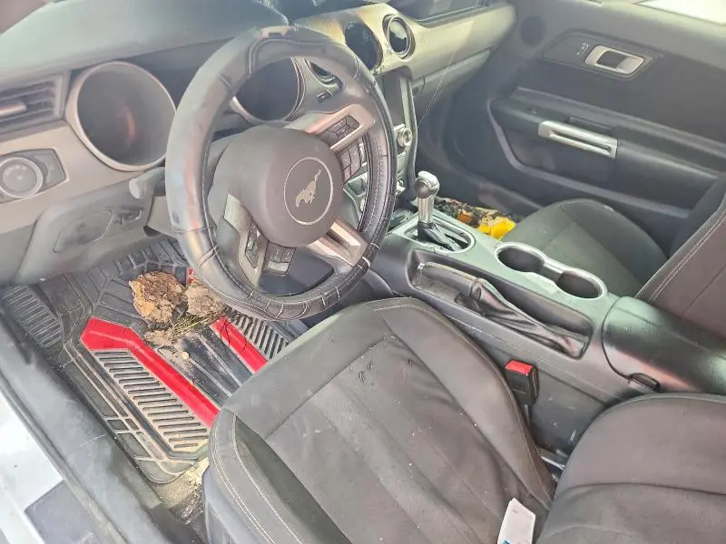 2019 FORD MUSTANG   