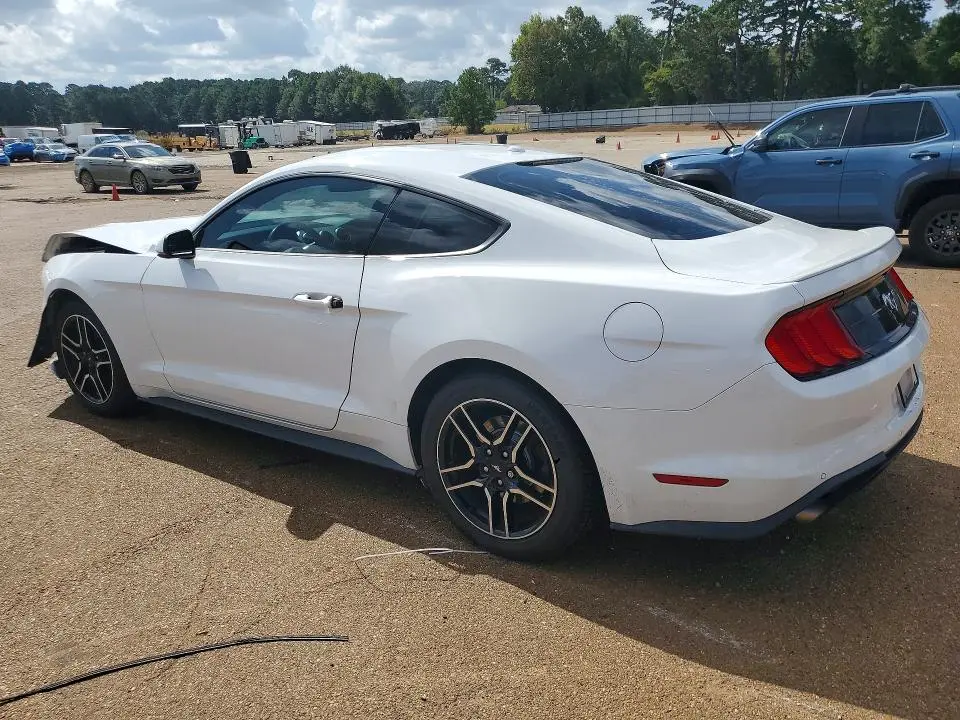 2019 FORD MUSTANG   