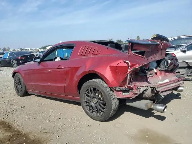 2014 FORD MUSTANG   