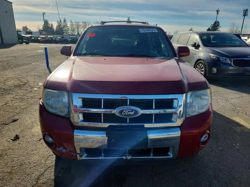 2010 FORD ESCAPE LIMITED  