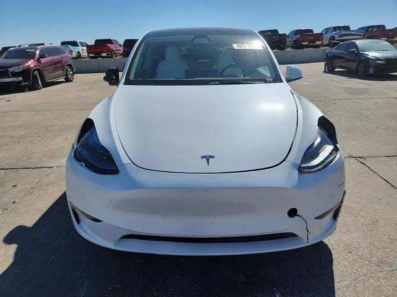 2025 TESLA MODEL Y   