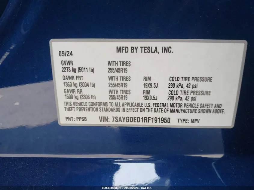2024 TESLA MODEL Y  