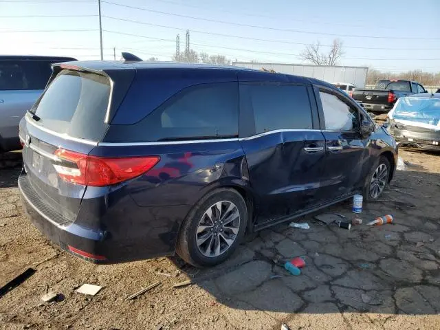 2024 HONDA ODYSSEY EXL