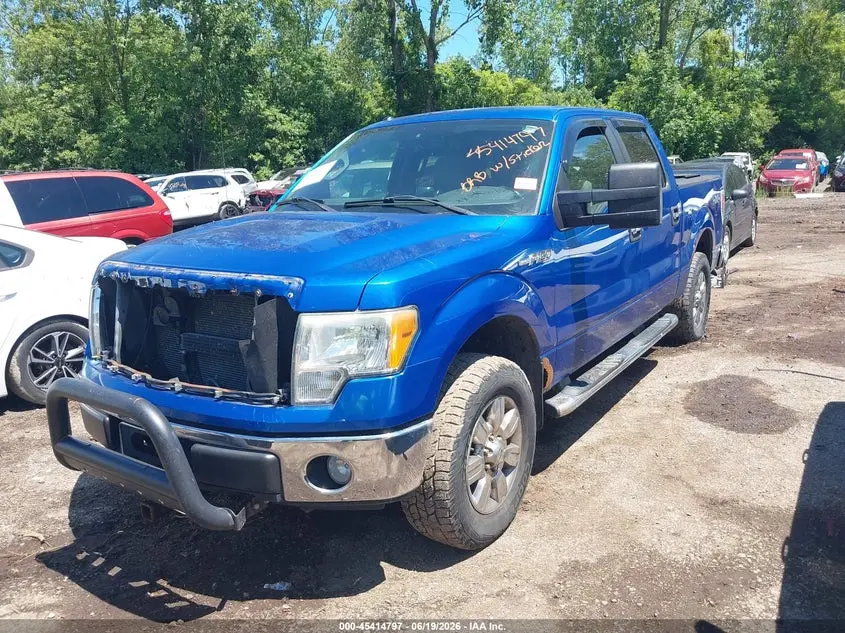2010 FORD F-150 XL/XLT