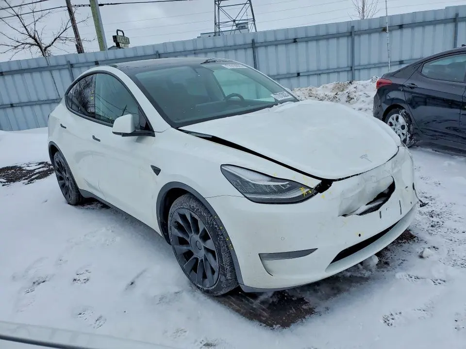 2022 TESLA MODEL Y   
