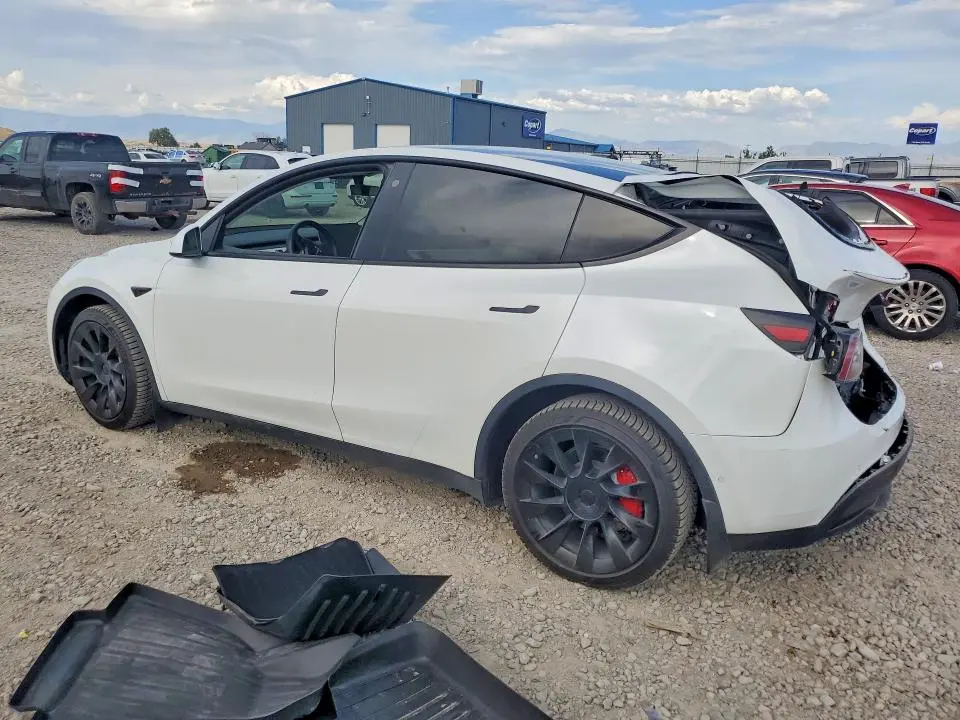 2021 TESLA MODEL Y   