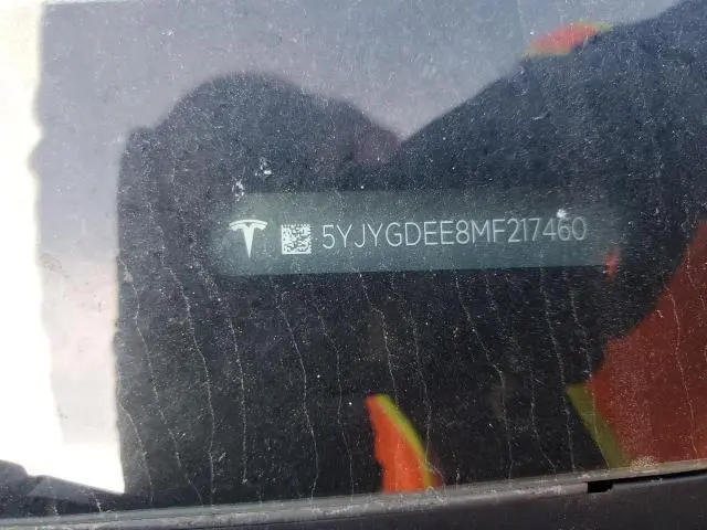 2021 TESLA MODEL Y 
