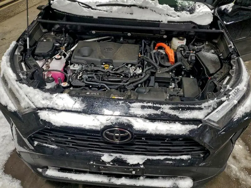 2025 TOYOTA RAV4 XLE  