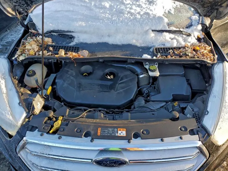 2019 FORD ESCAPE TITANIUM  