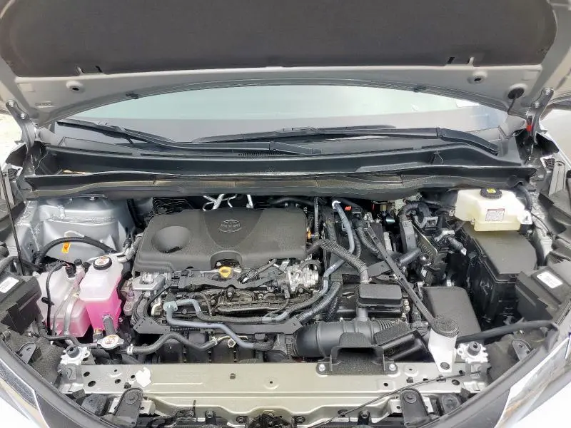2025 TOYOTA SIENNA LE  
