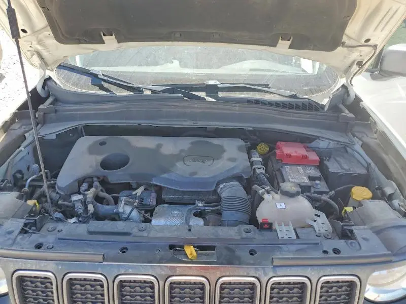 2019 JEEP RENEGADE TRAILHAWK  