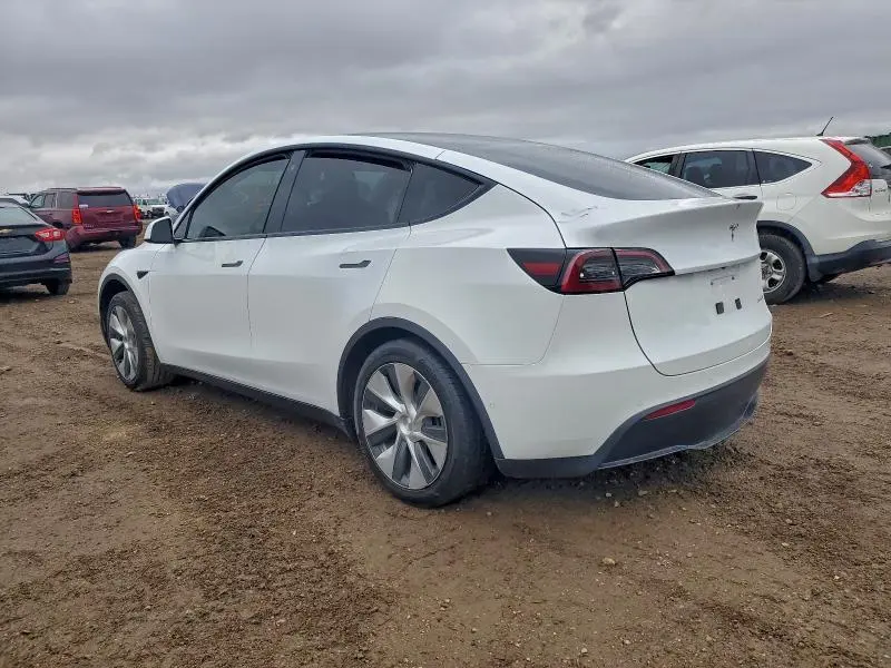 2021 TESLA MODEL Y   