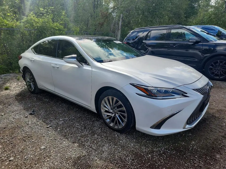 2019 LEXUS ES 350  