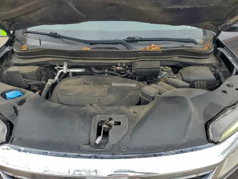 2019 HONDA PILOT TOURING  