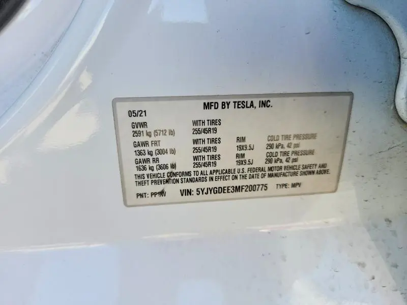 2021 TESLA MODEL Y   