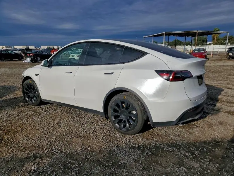2021 TESLA MODEL Y   