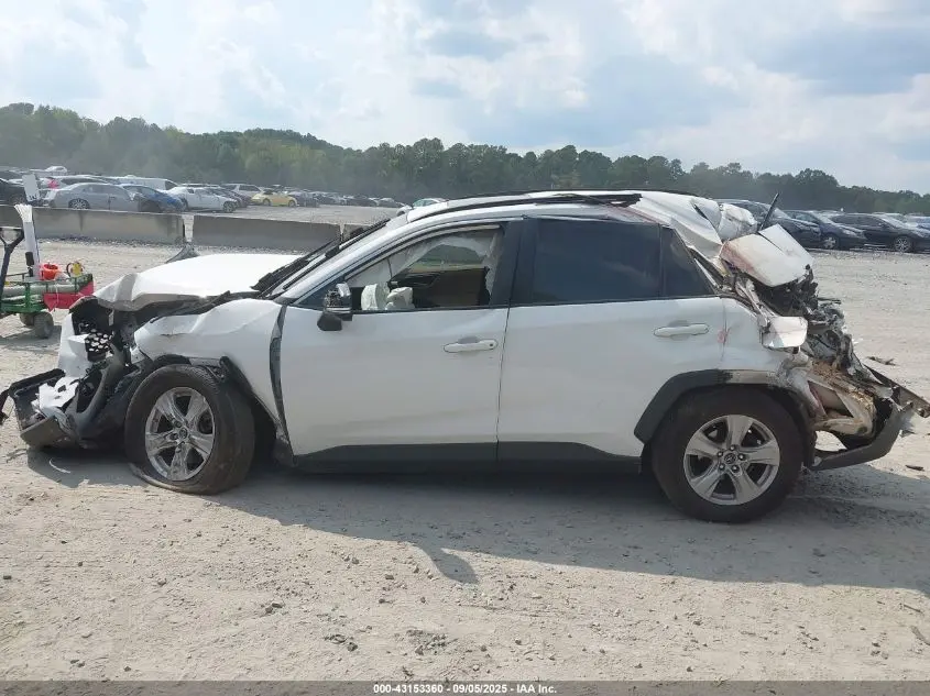 2019 TOYOTA RAV4 XLE