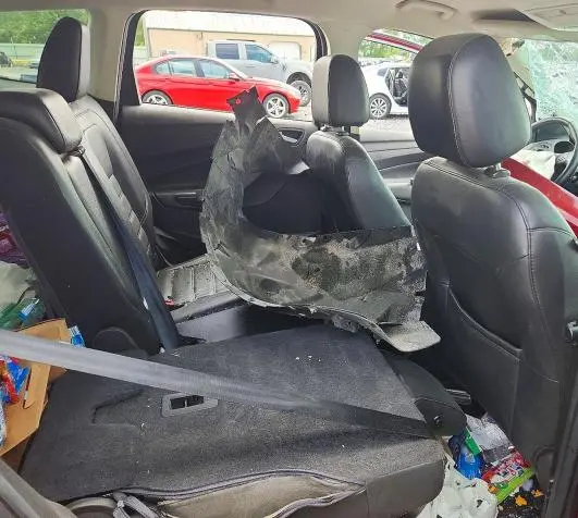 2017 FORD ESCAPE SE  