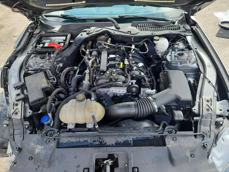 2021 FORD MUSTANG   