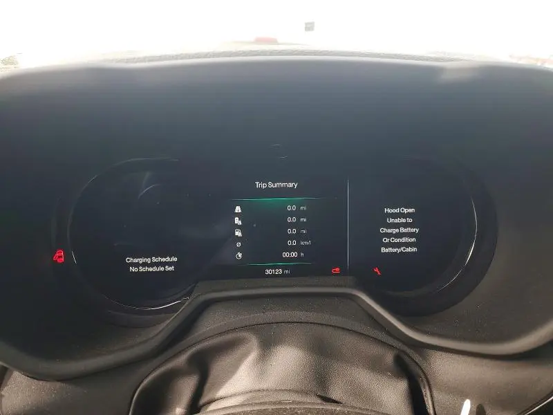2024 DODGE HORNET R  