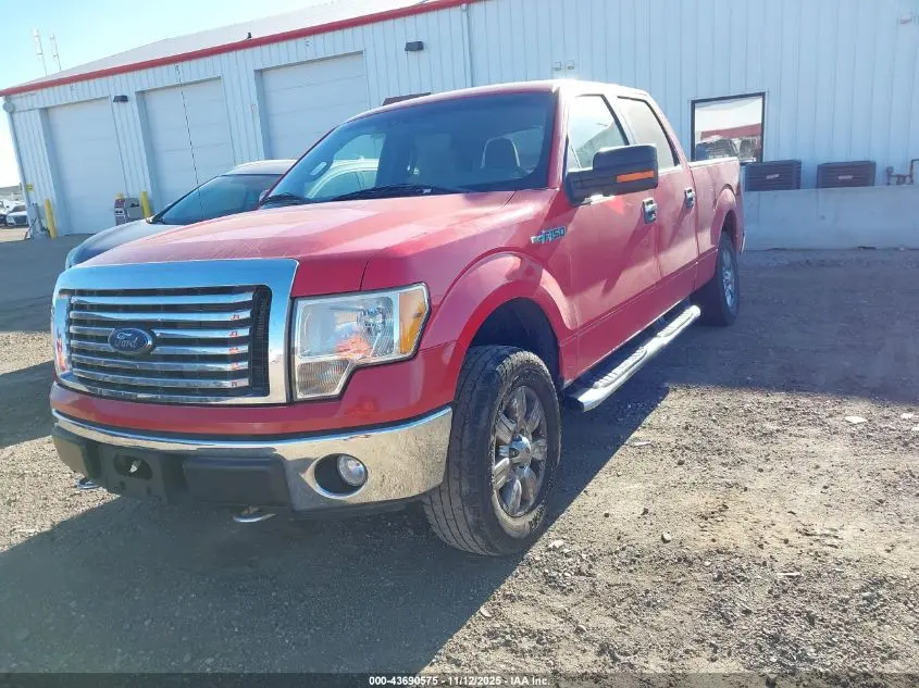 2010 FORD F-150 FX4/HARLEY-DAVIDSON/KING RANCH/LARIAT/PLATINUM/XL/XLT
