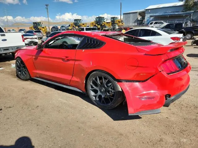 2019 FORD MUSTANG   