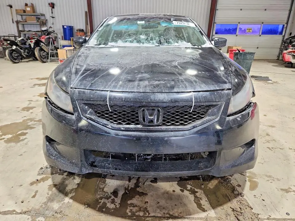 2010 HONDA ACCORD EXL  