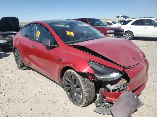 2023 TESLA MODEL Y   