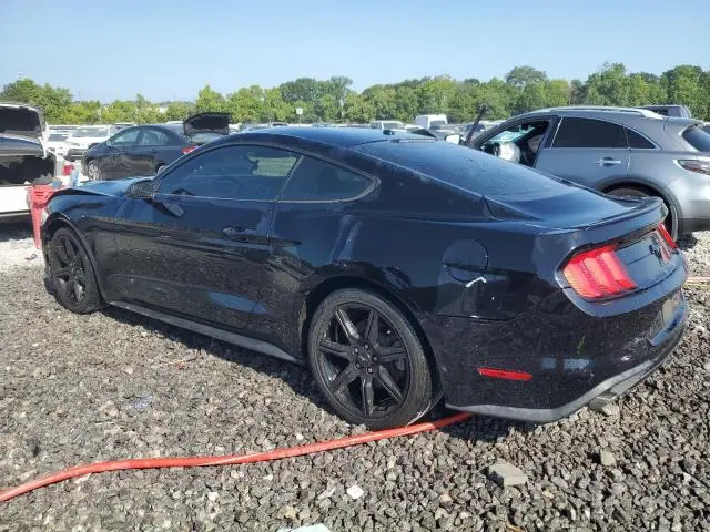 2019 FORD MUSTANG   