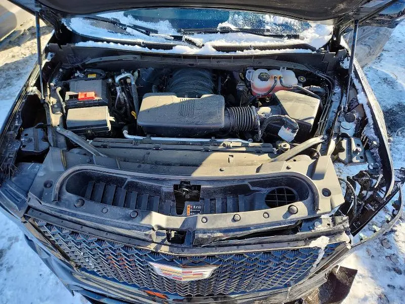 2025 CADILLAC ESCALADE   