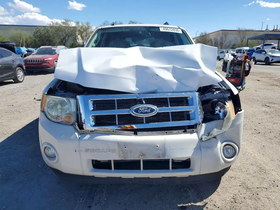 2011 FORD ESCAPE XLT  