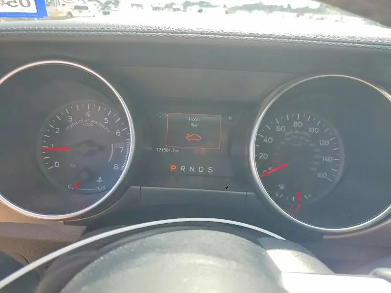 2019 FORD MUSTANG   