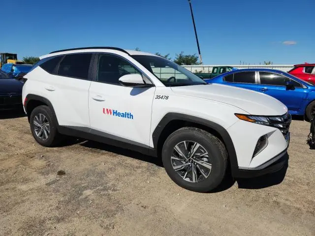 2024 HYUNDAI TUCSON BLUE  