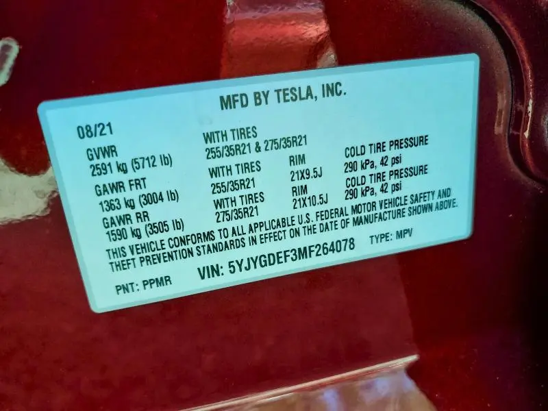 2021 TESLA MODEL Y   
