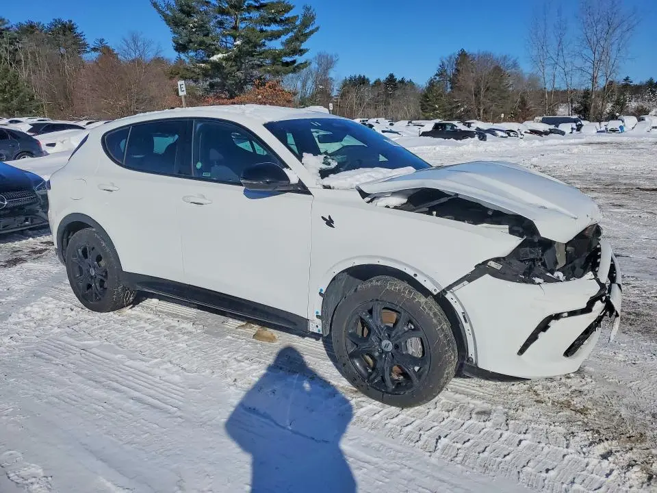 2024 DODGE HORNET R  